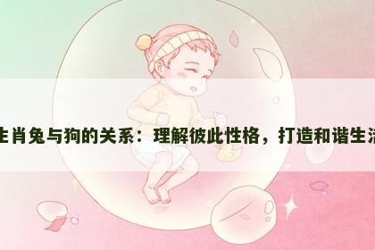 生肖兔与狗的关系：理解彼此性格，打造和谐生活
