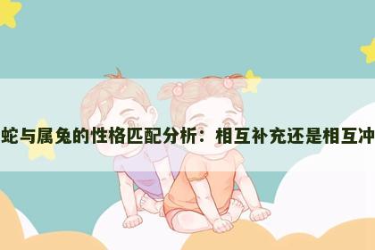 属蛇与属兔的性格匹配分析：相互补充还是相互冲突