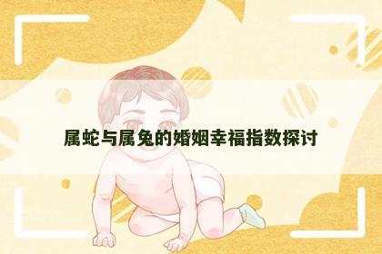 属蛇与属兔的婚姻幸福指数探讨
