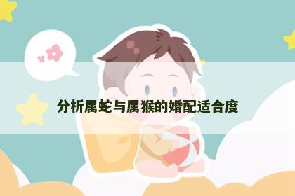 分析属蛇与属猴的婚配适合度