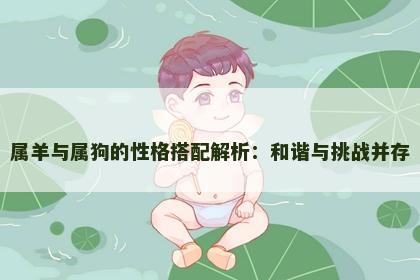 属羊与属狗的性格搭配解析：和谐与挑战并存
