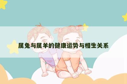 属兔与属羊的健康运势与相生关系