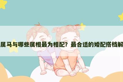 男属马与哪些属相最为相配？最合适的婚配搭档解析