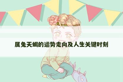 属兔天蝎的运势走向及人生关键时刻
