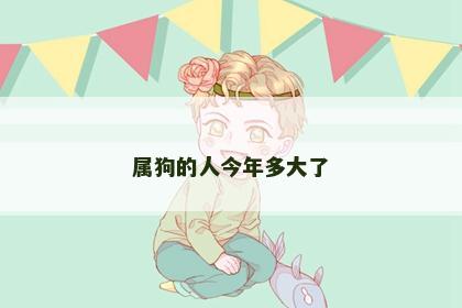 属狗的人今年多大了