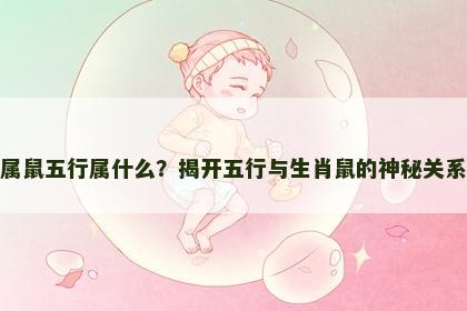 属鼠五行属什么？揭开五行与生肖鼠的神秘关系
