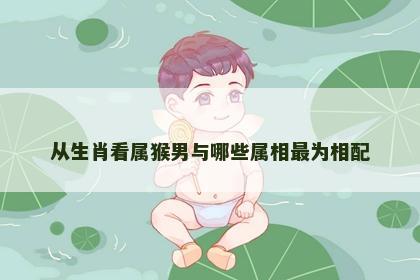 从生肖看属猴男与哪些属相最为相配