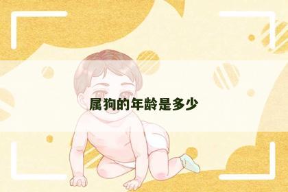 属狗的年龄是多少