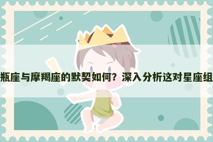 水瓶座与摩羯座的默契如何？深入分析这对星座组合