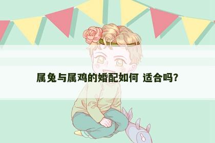 属兔与属鸡的婚配如何 适合吗？