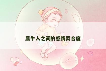 属牛人之间的感情契合度