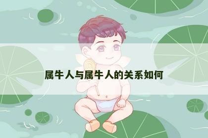 属牛人与属牛人的关系如何