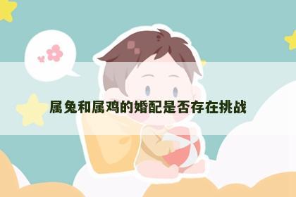 属兔和属鸡的婚配是否存在挑战