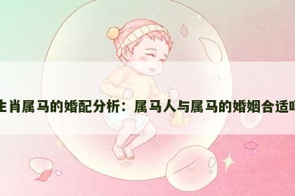 生肖属马的婚配分析：属马人与属马的婚姻合适吗