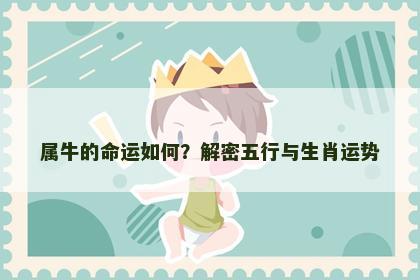 属牛的命运如何？解密五行与生肖运势