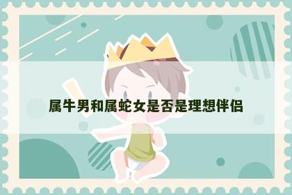 属牛男和属蛇女是否是理想伴侣