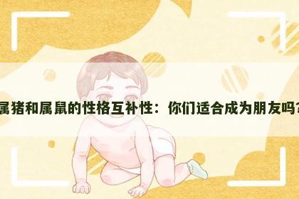 属猪和属鼠的性格互补性：你们适合成为朋友吗？