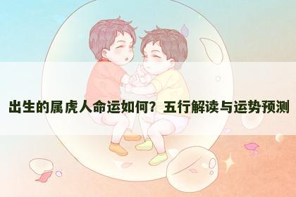 出生的属虎人命运如何?五行解读与运势预测 出生的属虎人命运如何?五行解读与运势预测