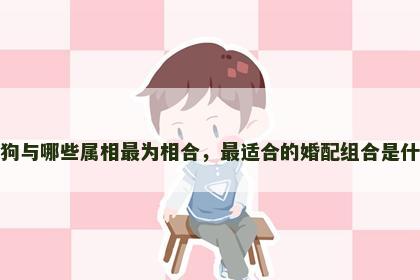 属狗与哪些属相最为相合,最适合的婚配组合是什么 属狗与哪些属相最为相合,最适合的婚配组合是什么