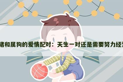 属猪和属狗的爱情配对:天生一对还是需要努力经营? 属猪和属狗的爱情配对:天生一对还是需要努力经营?
