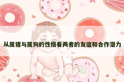 从属猪与属狗的性格看两者的友谊和合作潜力 从属猪与属狗的性格看两者的友谊和合作潜力