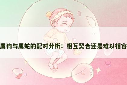 属狗与属蛇的配对分析：相互契合还是难以相容
