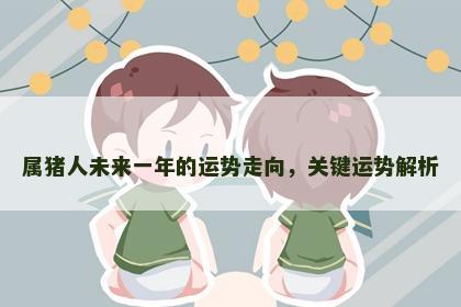 属猪人未来一年的运势走向,关键运势解析 属猪人未来一年的运势走向,关键运势解析