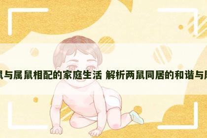 属鼠与属鼠相配的家庭生活 解析两鼠同居的和谐与摩擦 属鼠与属鼠相配的家庭生活 解析两鼠同居的和谐与摩擦